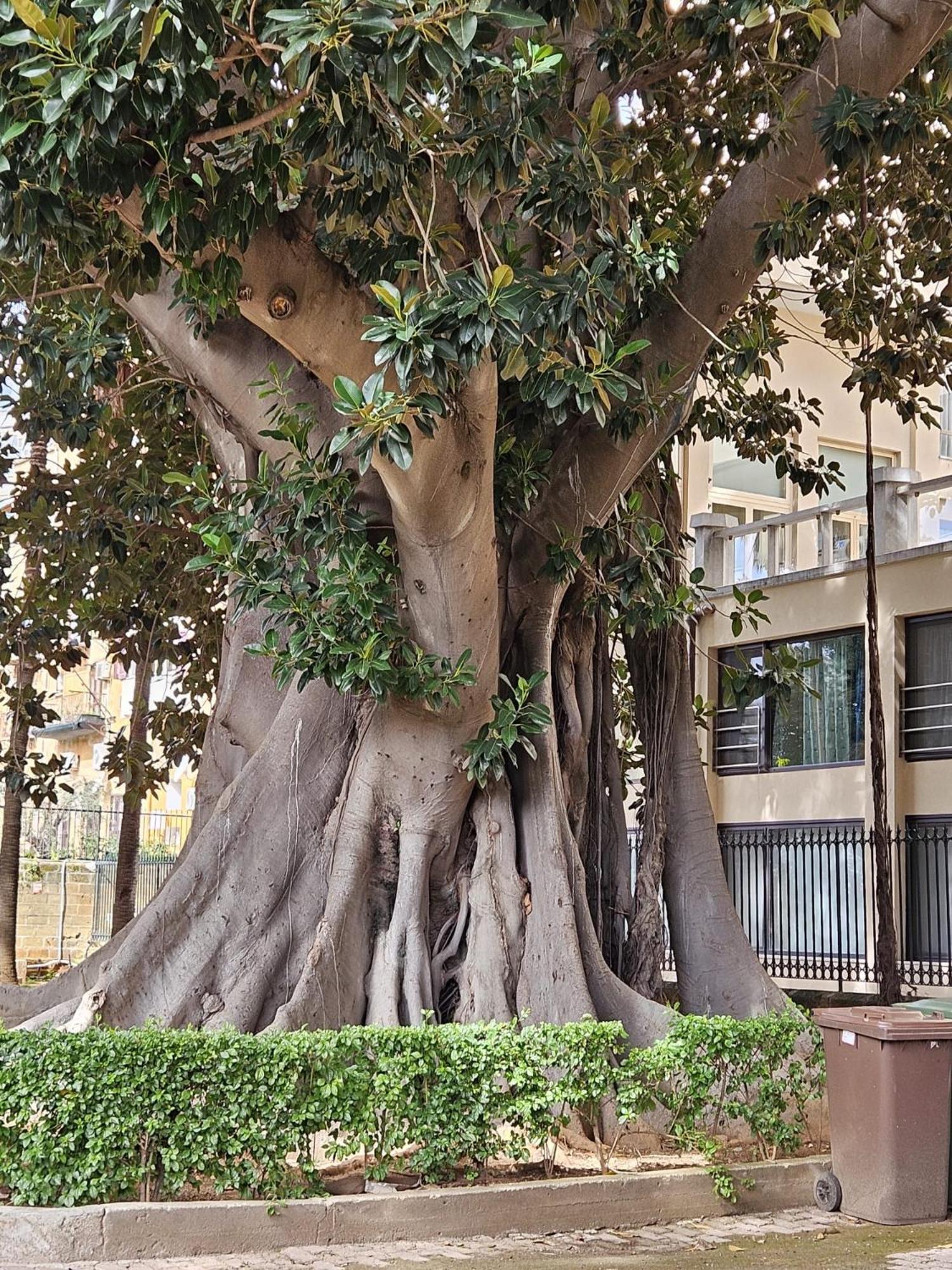 All'ombra Di Porta Nuova Appartement Palermo